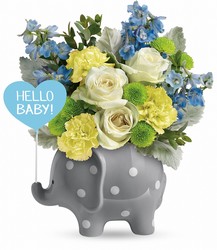 Hello Sweet Baby from Krupp Florist, your local Belleville flower shop